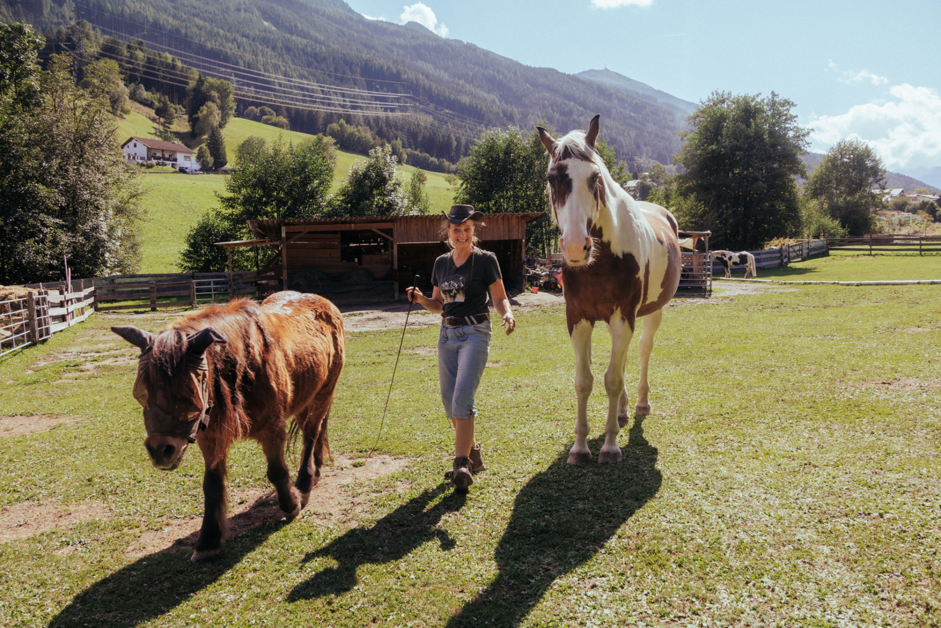 Ingrid Pockstaller führt ein Pony und ein geschecktes Pferd über die Weide vor Tiroler Bergen