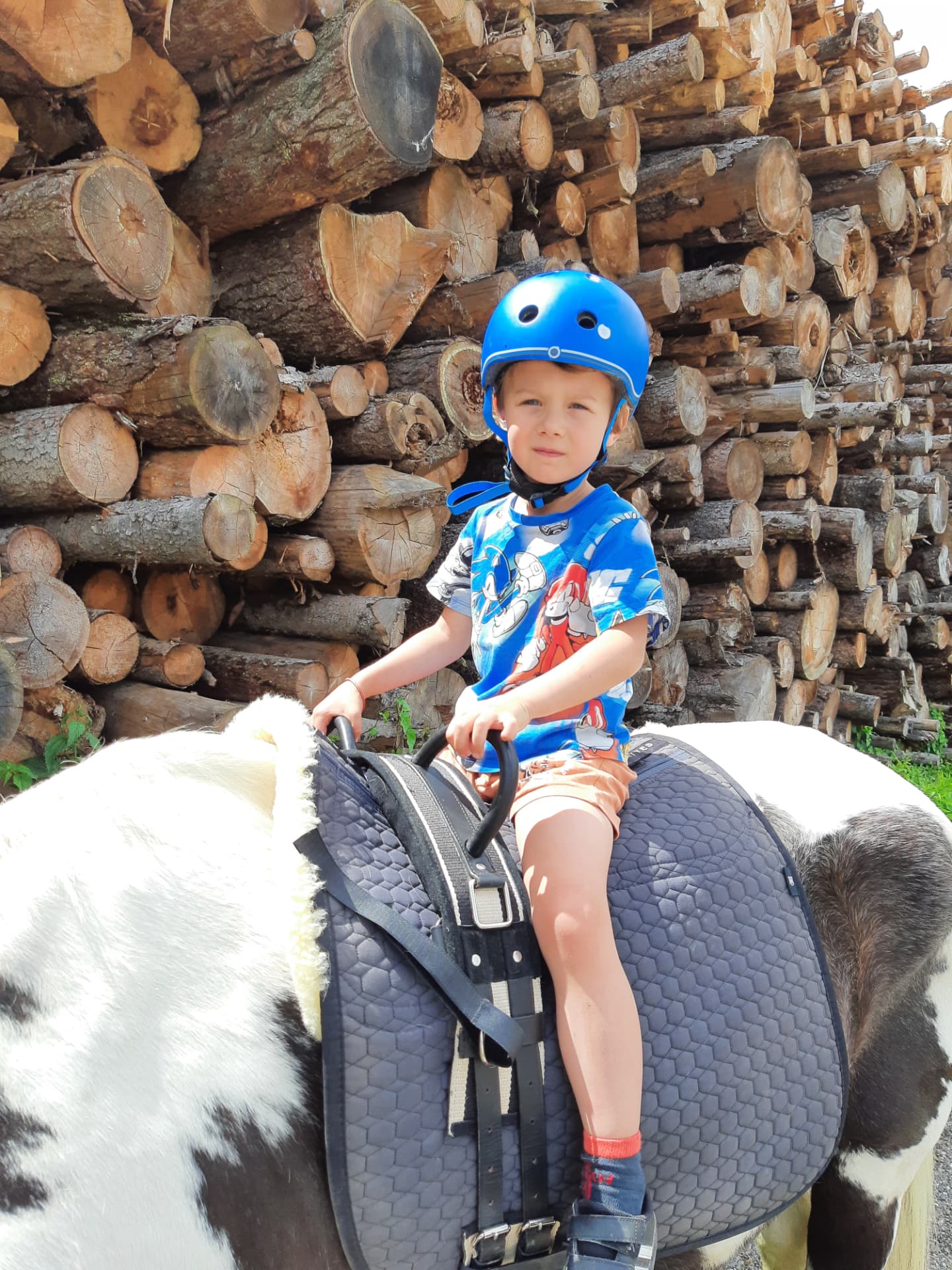 Junge mit Reithelm sitzt stolz auf einem Scheckenpony